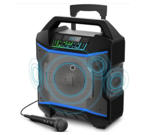 Mic and Speaker